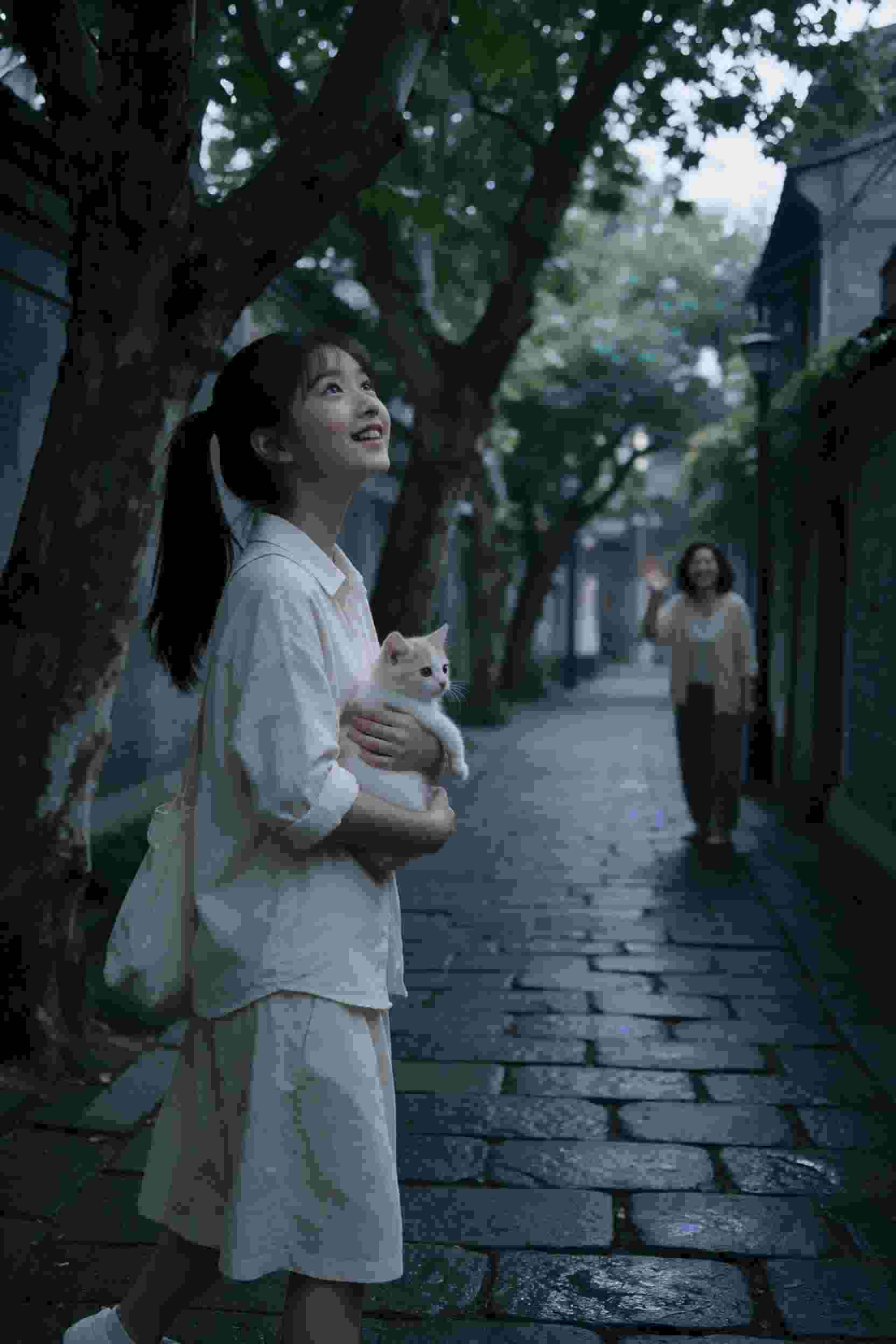 谜局破译