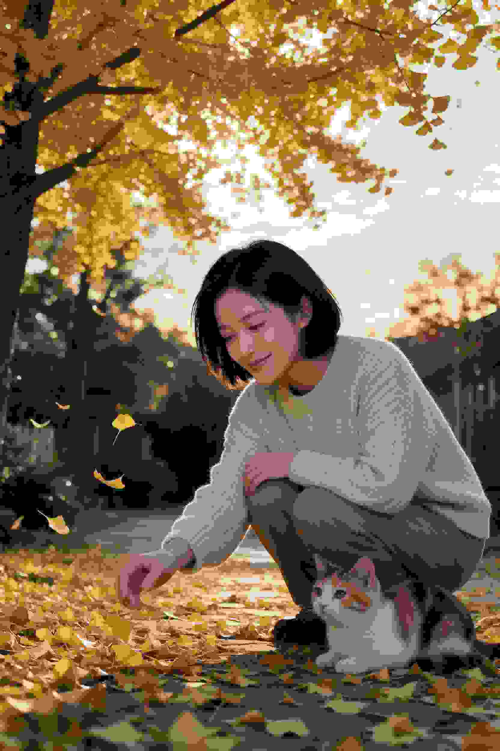 闪耀的女孩